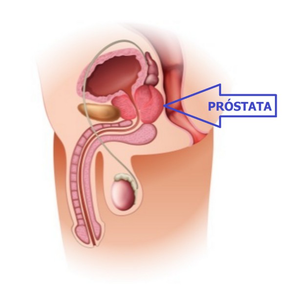 CP_LeiturasProstata_02