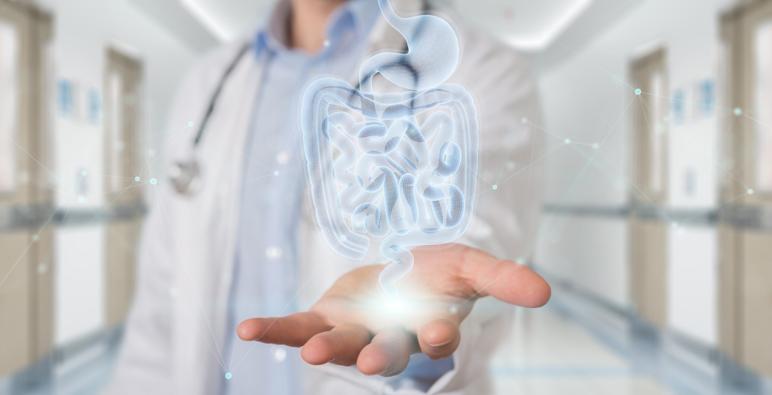 Autoimunidade, microbiota e o intestino poroso