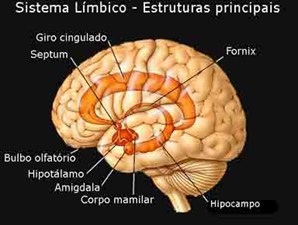 como aumentar a libido